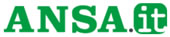 ansa