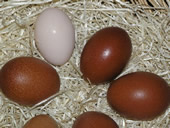 uova di pasqua