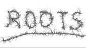 Analisi delle cause profonde - Root Cause Analysis - seconda parte