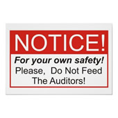 atteggiamento auditor