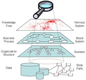 Business Process Reengineering
