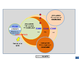 ciclo1