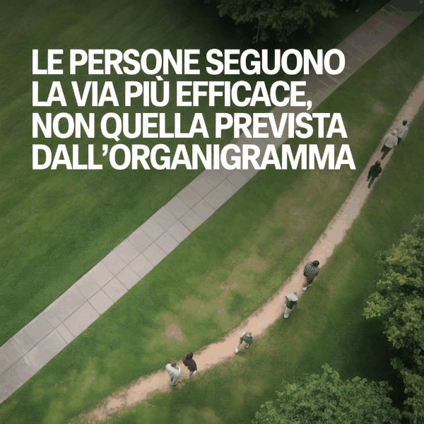 Un sentiero accanto alla strada tracciata, ad indicare che le persone non seguono sempre le regole