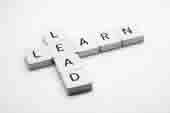 learning organization