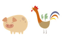 Maiale gallina involvement