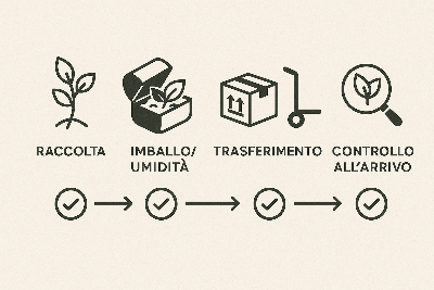 Progettare il trasferimento nella ISO 9001